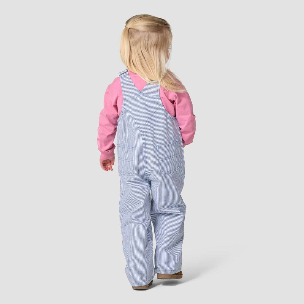 Carhartt Loose Fit Railroad Stripe Bib Overall — HS2-Blue Horizon, back