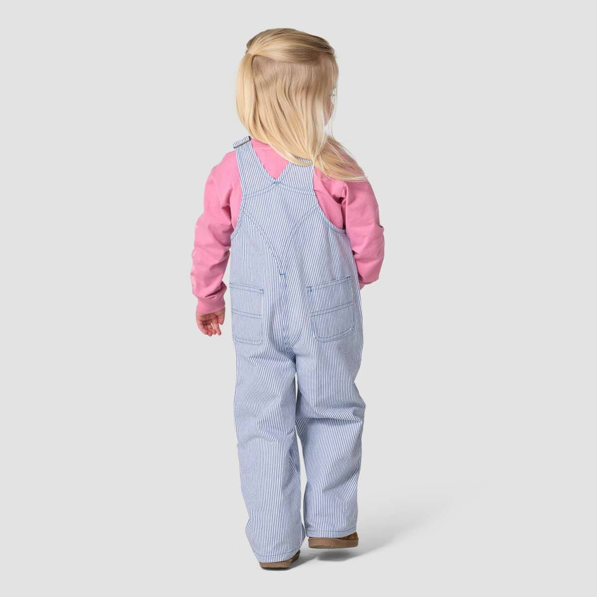 Carhartt Loose Fit Railroad Stripe Bib Overall — HS2-Blue Horizon, back