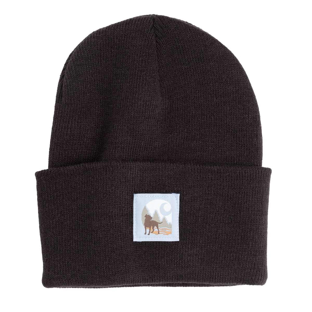 Carhartt Mens Watch Cap Graphic Beanie — Black-N04, manufacturer product photo