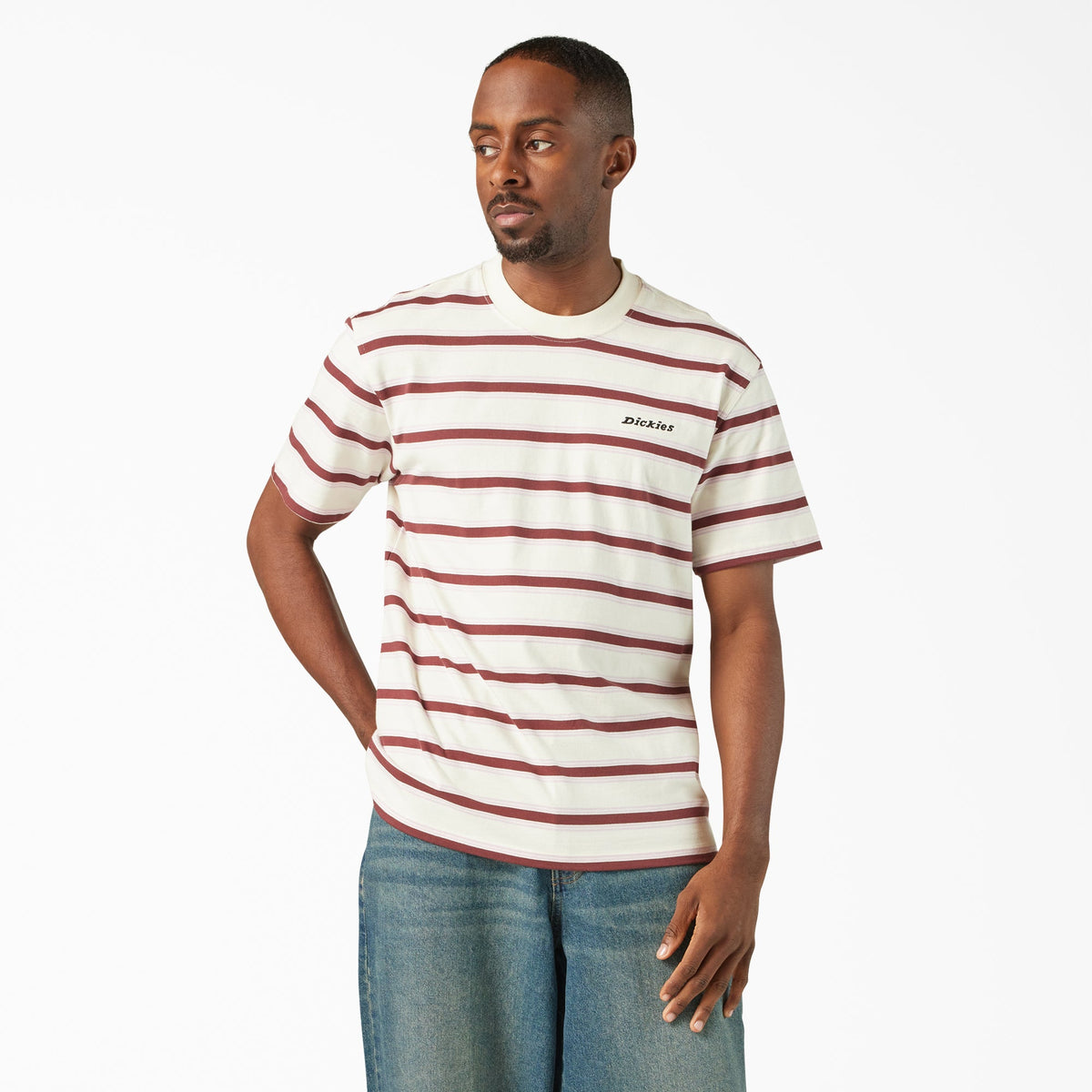 Dickies York Striped T-Shirt — Egret-C48, manufacturer product image