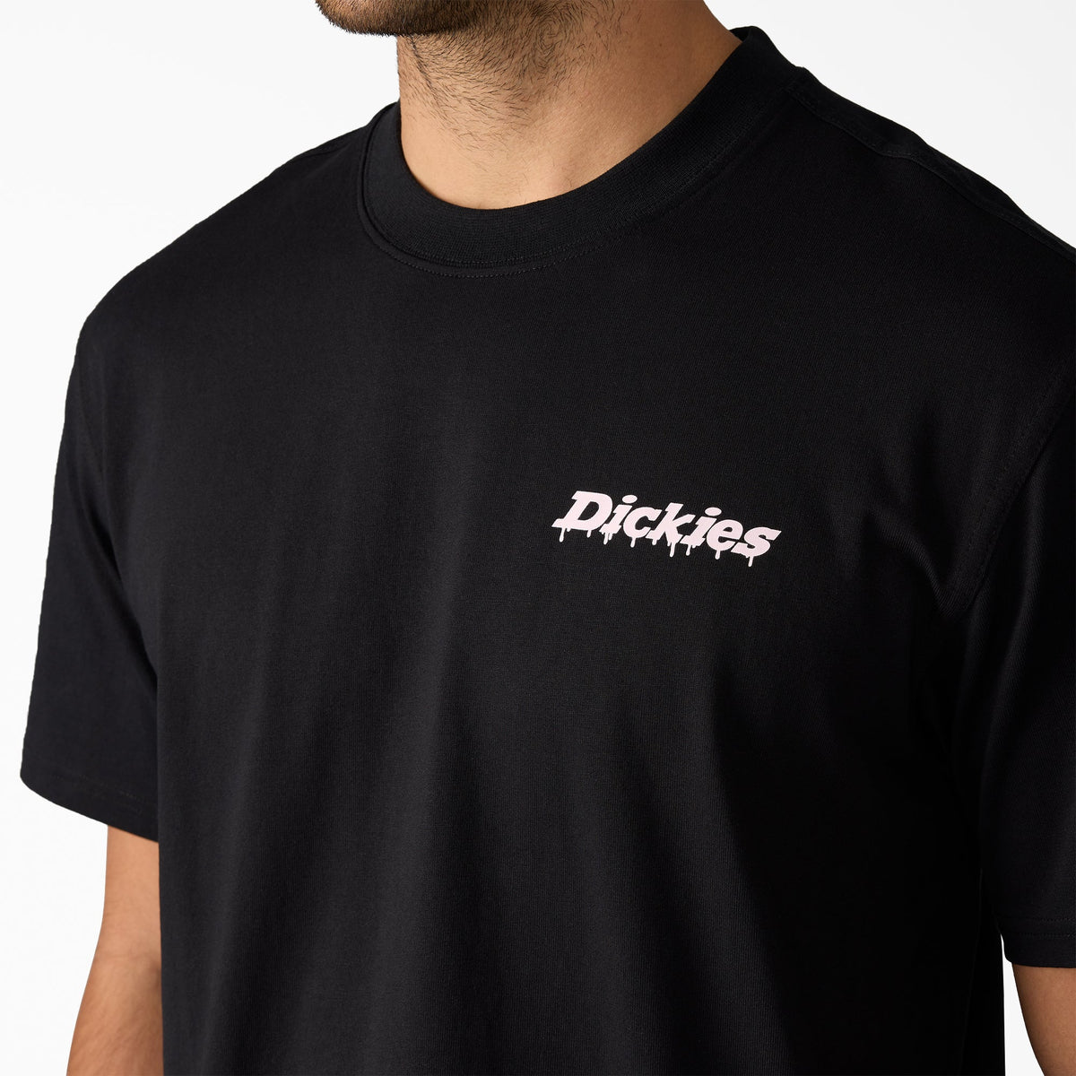Dickies Statesville Graphic T-Shirt — Black-BLK, additional manufacturer view